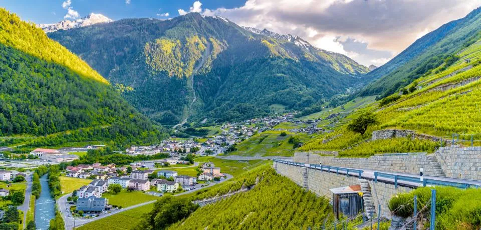 Vignobles au dessus de Martigny