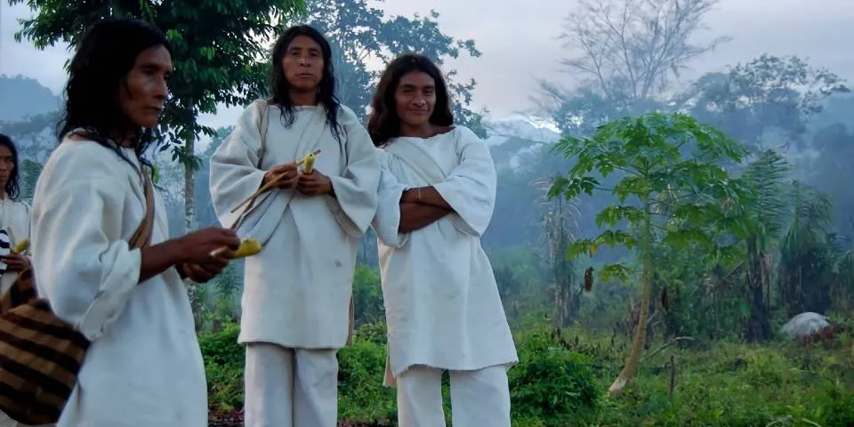 Kogi people