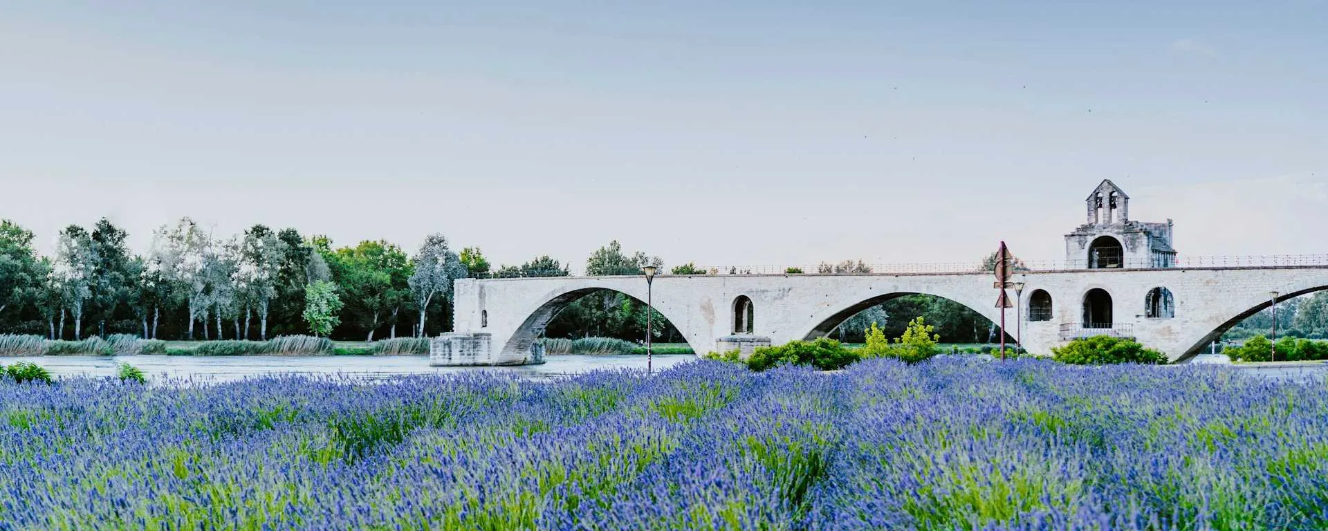 pont avignon, Xuan Nguyen